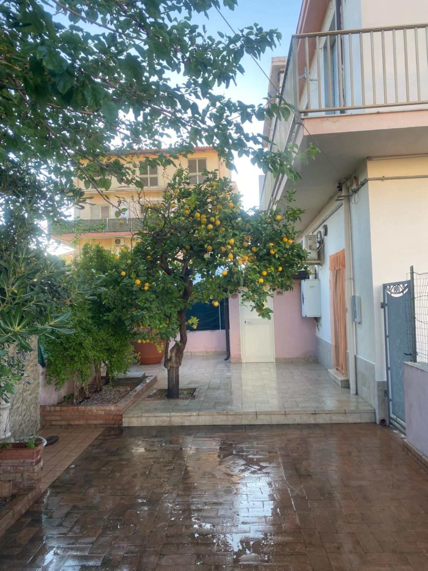 L'Albero Di Limoni Sul Mare Di Pizzo Pizzo (Calabria) Exterior foto