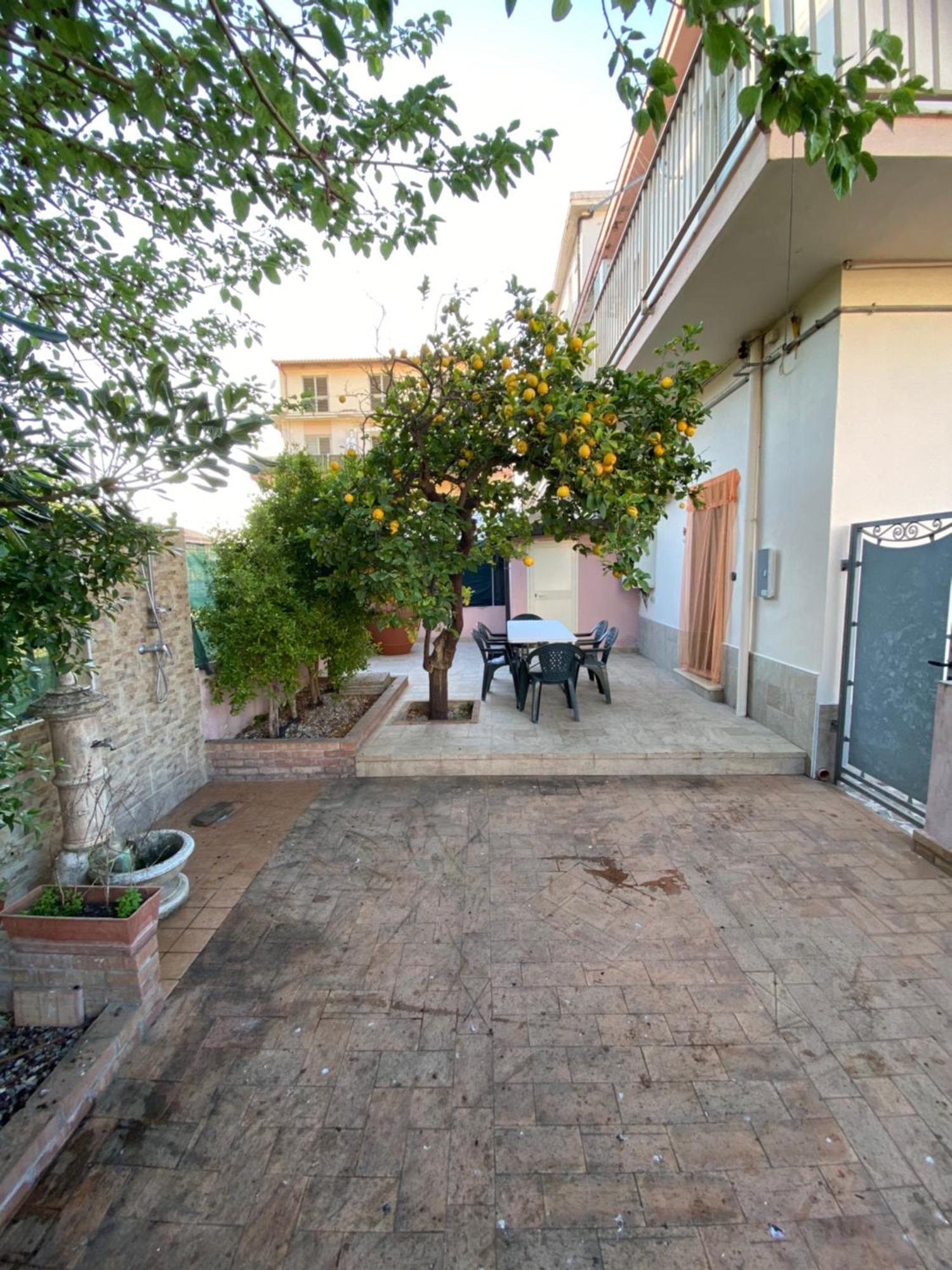 L'Albero Di Limoni Sul Mare Di Pizzo Pizzo (Calabria) Exterior foto